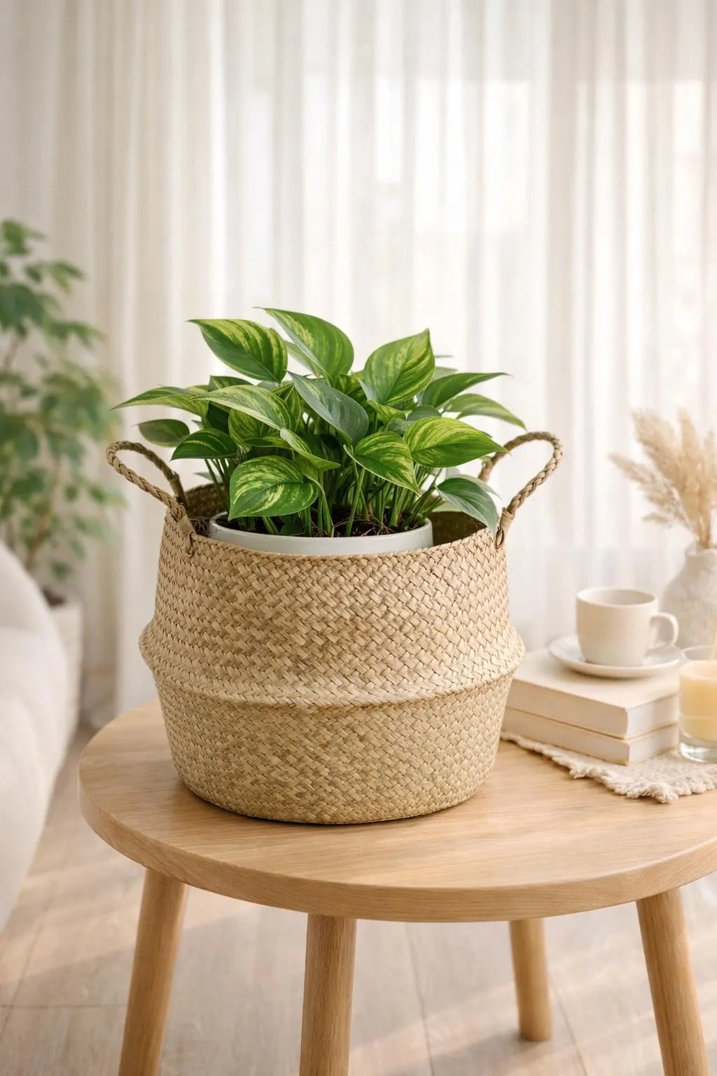 Seagrass Belly Basket, Woven Storage Organizer, Plant Pot Cover, Boho Laundry Hamper, Natural Decor